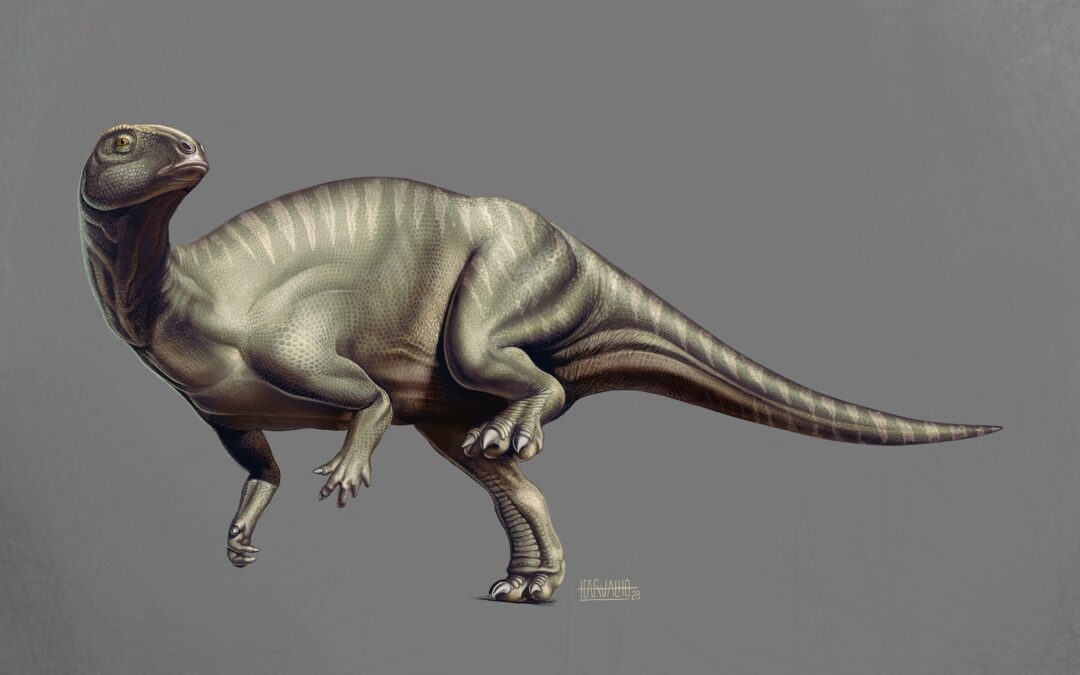 Un nuevo dinosaurio portugués, con sangre aragosaurera