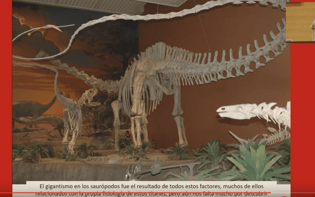 ¿Por qué los dinosaurios son gigantes?