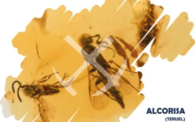 VIII Jornadas de divulgación y defensa del patrimonio geológico turolense