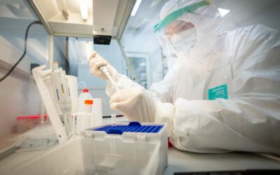 El ADN antiguo proporciona claves de gran valor para la conservación de la fauna silvestre