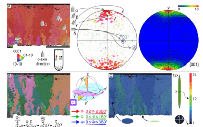 La receta para preparar unos buenos huevos (fósiles)