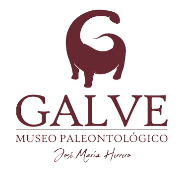 Museo Galve Museo Galve