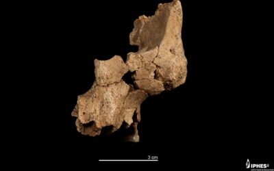 Atapuerca reescribe la historia del primer poblamiento europeo