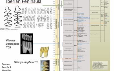 Todo lo que usted quería saber sobre el topillo Pliomys en Iberia