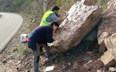 Nuevas icnitas de mamíferos en el Cenozoico del Pirineo aragonés