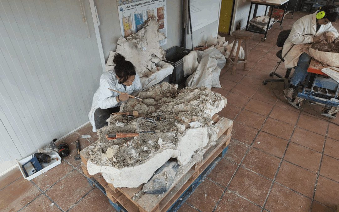 Un dinosaurio turolense de visita médica en Huesca