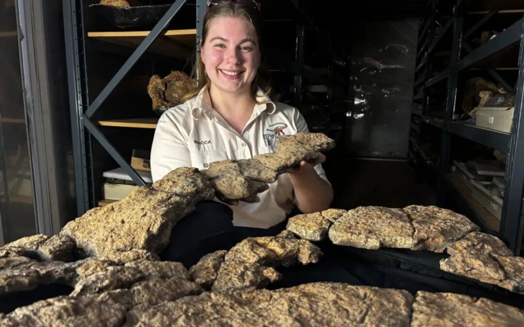 El primer contenido estomacal fosilizado de un dinosaurio saurópodo