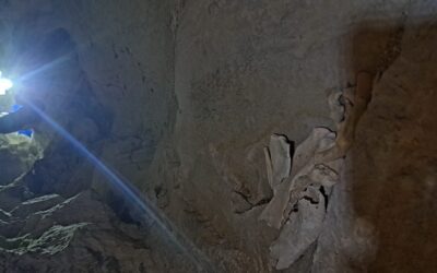 Los primeros fósiles de osos de las cavernas del macizo de Cotiella (Huesca)