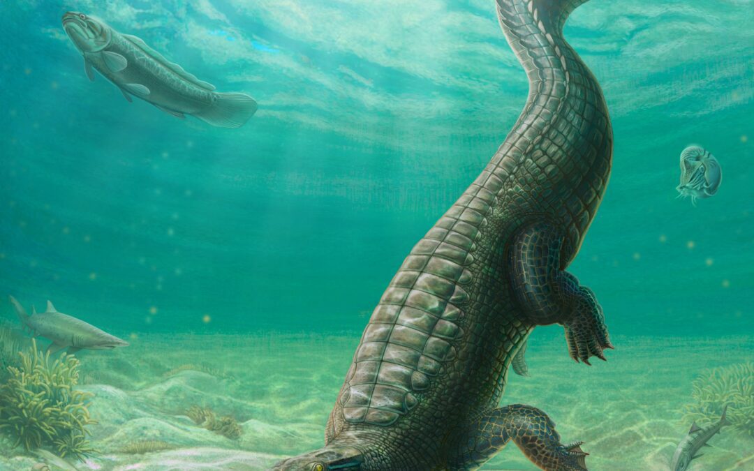 Un nuevo cocodrilo marino de Angola revela la historia del Atlántico Sur antes de la extinción del Cretácico
