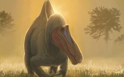 El origen de los dinosaurios carnívoros gigantes de África podría estar en Europa… y en Teruel