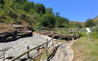 Un viaje al pasado de las Tierras Altas de Soria: huellas de aves de hace 140 millones de años