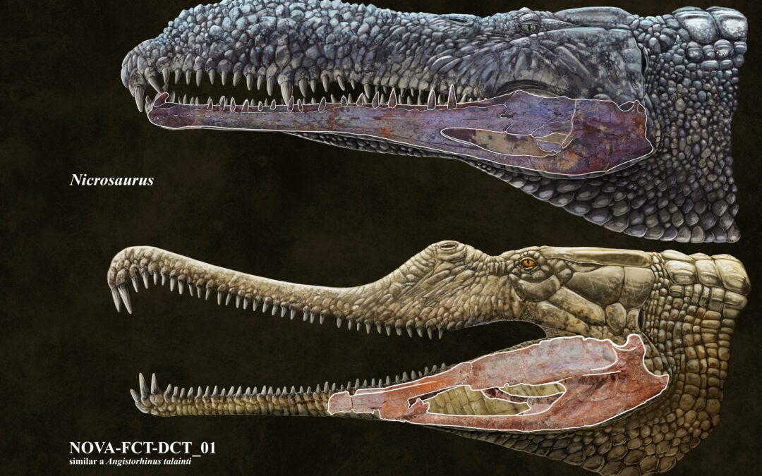La mandíbula de los fitosaurios es clave para comprender su evolución