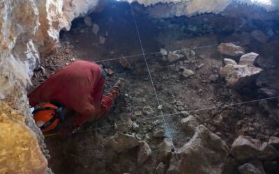 La cueva del Acederal: Una ventana a los ecosistemas de nuestro pasado reciente