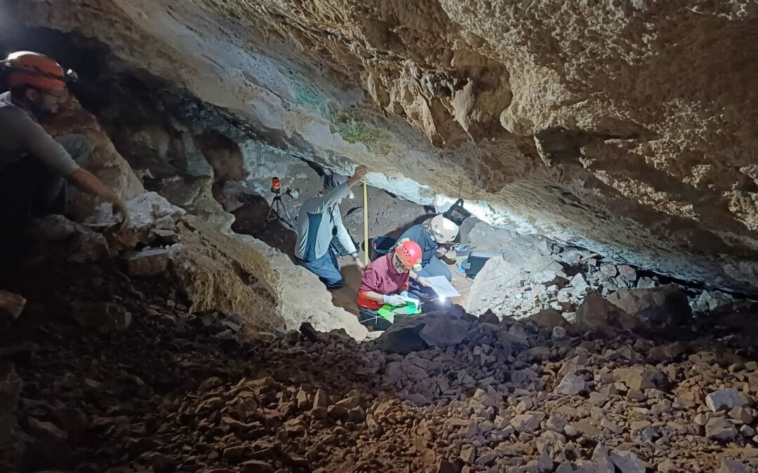 Master sobre las aves del Pleistoceno superior – Holoceno de la cueva de los Piojos (Ricla, Zaragoza=