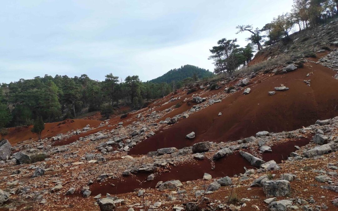 Estudio de los pleosuelos con bauxitas de la serranía de Cuenca