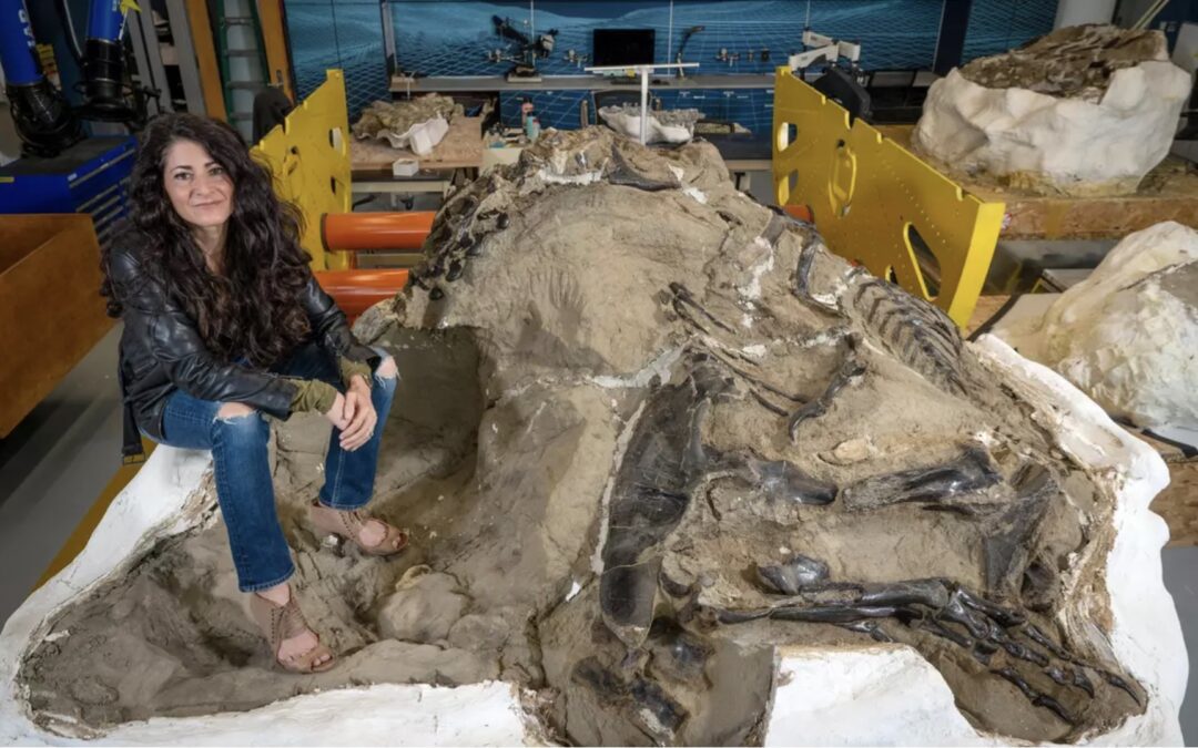 Una polémica cretácica: Nanotyrannus es una especie diferente o es el juvenil de Tyrannosaurus rex