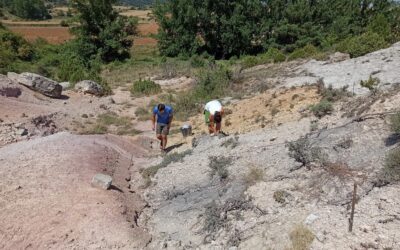 Cañalatorre, Allueva