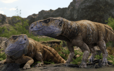 Un viejo enigma resuelto: los ceratopsios sí vivieron en Europa durante el Cretácico Superior