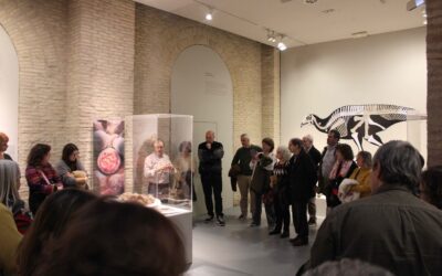 El Museo de Ciencias Naturales cumple 10 años