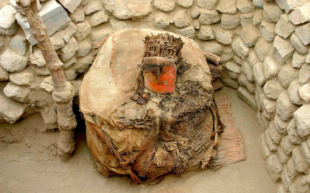 El ADN antiguo revela el comercio preincaico de loros vivos