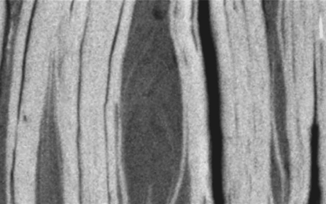 Génesis y caracterización de los caolines de Burela