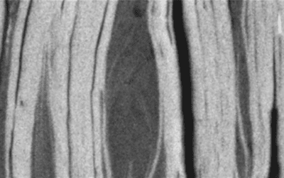 Génesis y caracterización de los caolines de Burela