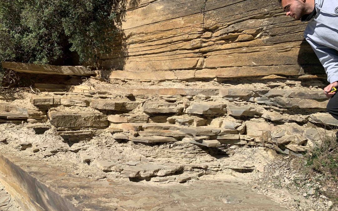 Un estudiante de la Universidad de Zaragoza ganador del Premio José Ramírez del Pozo al mejor TFG de la Sociedad Geológica de España