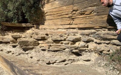 Un estudiante de la Universidad de Zaragoza ganador del Premio José Ramírez del Pozo al mejor TFG de la Sociedad Geológica de España