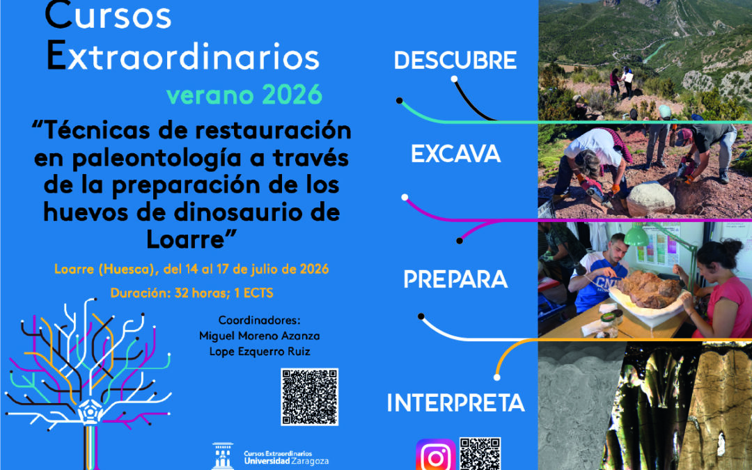 El curso de verano de Loarre lanza su cuarta edición