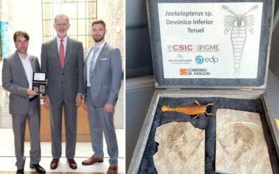 ¿El «escorpión marino» más grande del mundo en Aragón?