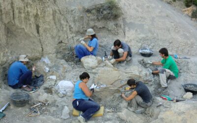 El último gigante.  L’últim gegant: Desenterrant un misteri de fa setanta milions d’anys