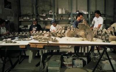 30 aniversario del descubrimiento de Tastavinsaurus, el dinosaurio catador de vinos